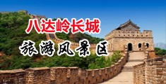 草肛门网站中国北京-八达岭长城旅游风景区