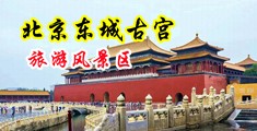 男女裸体插bb视频中国北京-东城古宫旅游风景区